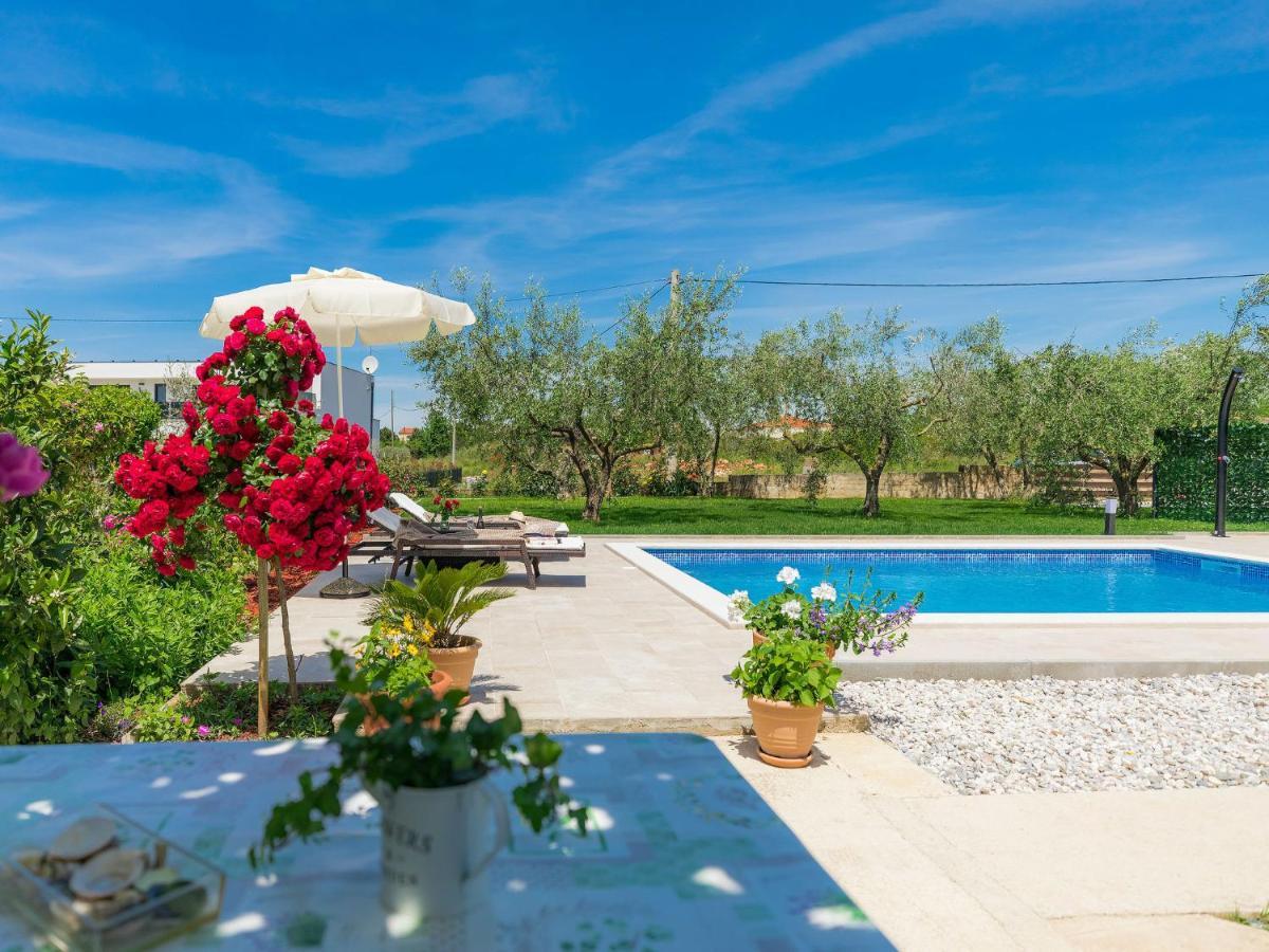 Apartment Chiara By Interhome Novigrad Istria Extérieur photo