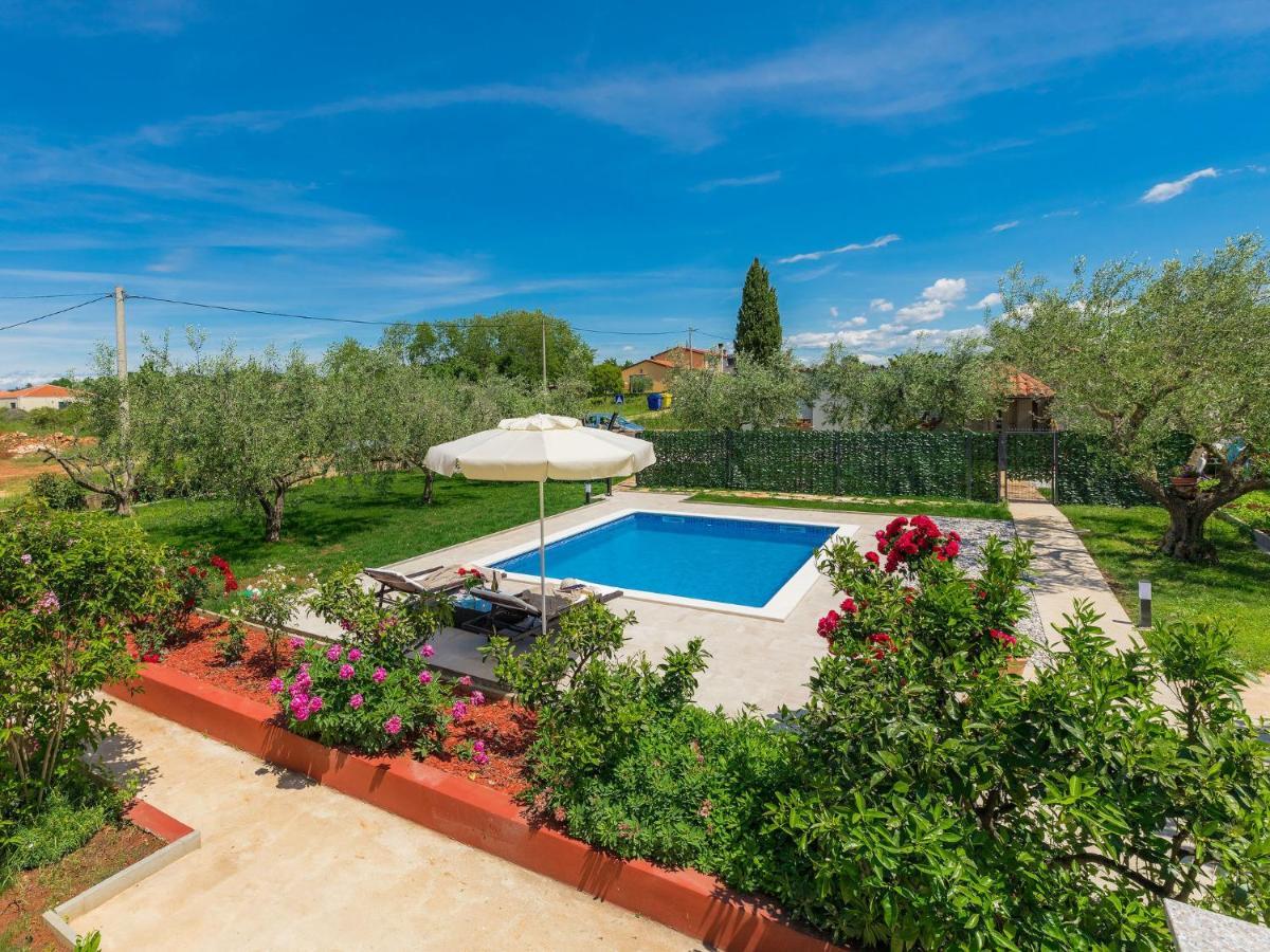 Apartment Chiara By Interhome Novigrad Istria Extérieur photo